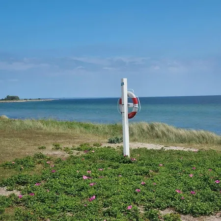 Geschmackvolles-ferienhaus-mit-hochwertiger-einrichtung Skovmose